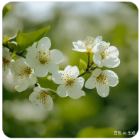 生活不需要那么“用力”