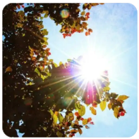 生活不需要那么“用力”