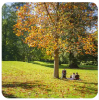 一个普通日子的细碎光亮