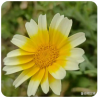 一个普通日子的细碎光亮